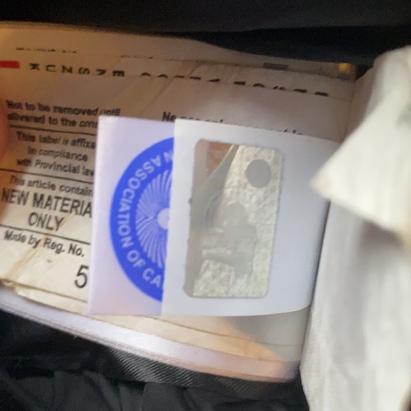 Canadian Goose - Picture 9 of 12